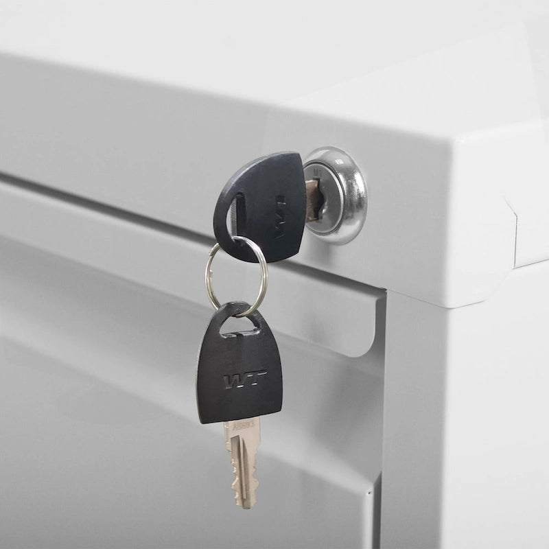 Classeur métallique verrouillable polyvalent avec roulettes pour la maison et le bureau