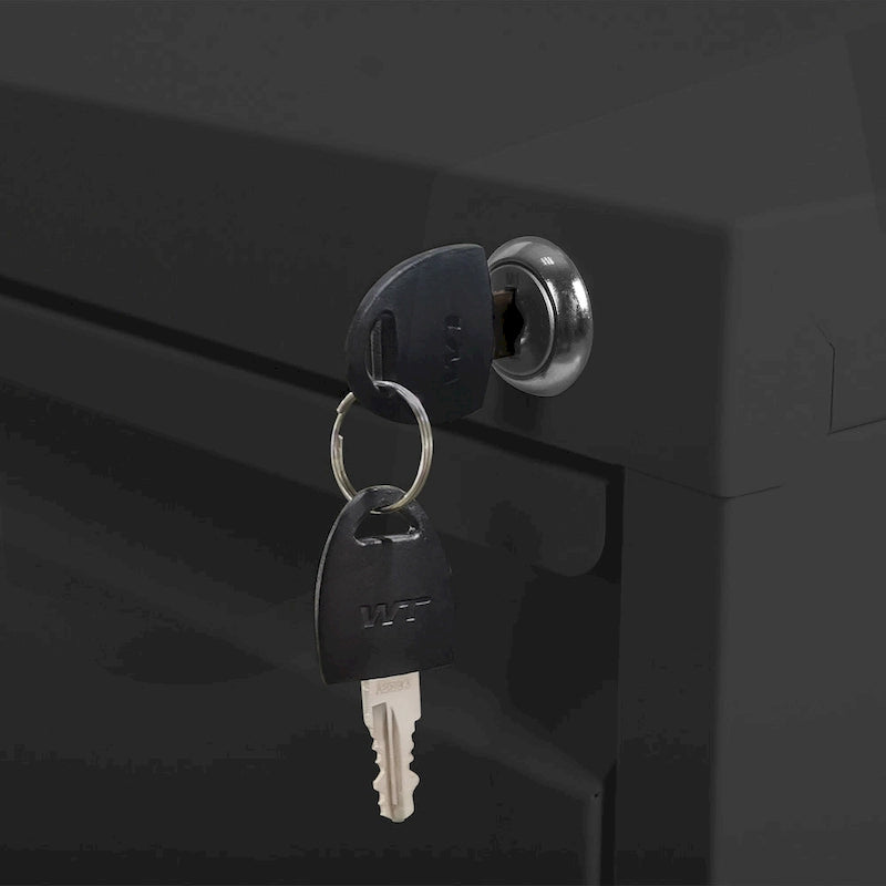 Classeur métallique verrouillable polyvalent avec roulettes pour la maison et le bureau